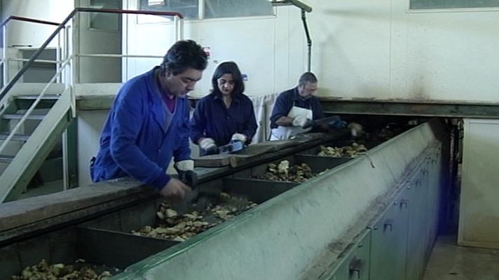 Telediario 1 - Día de la igualdad salarial