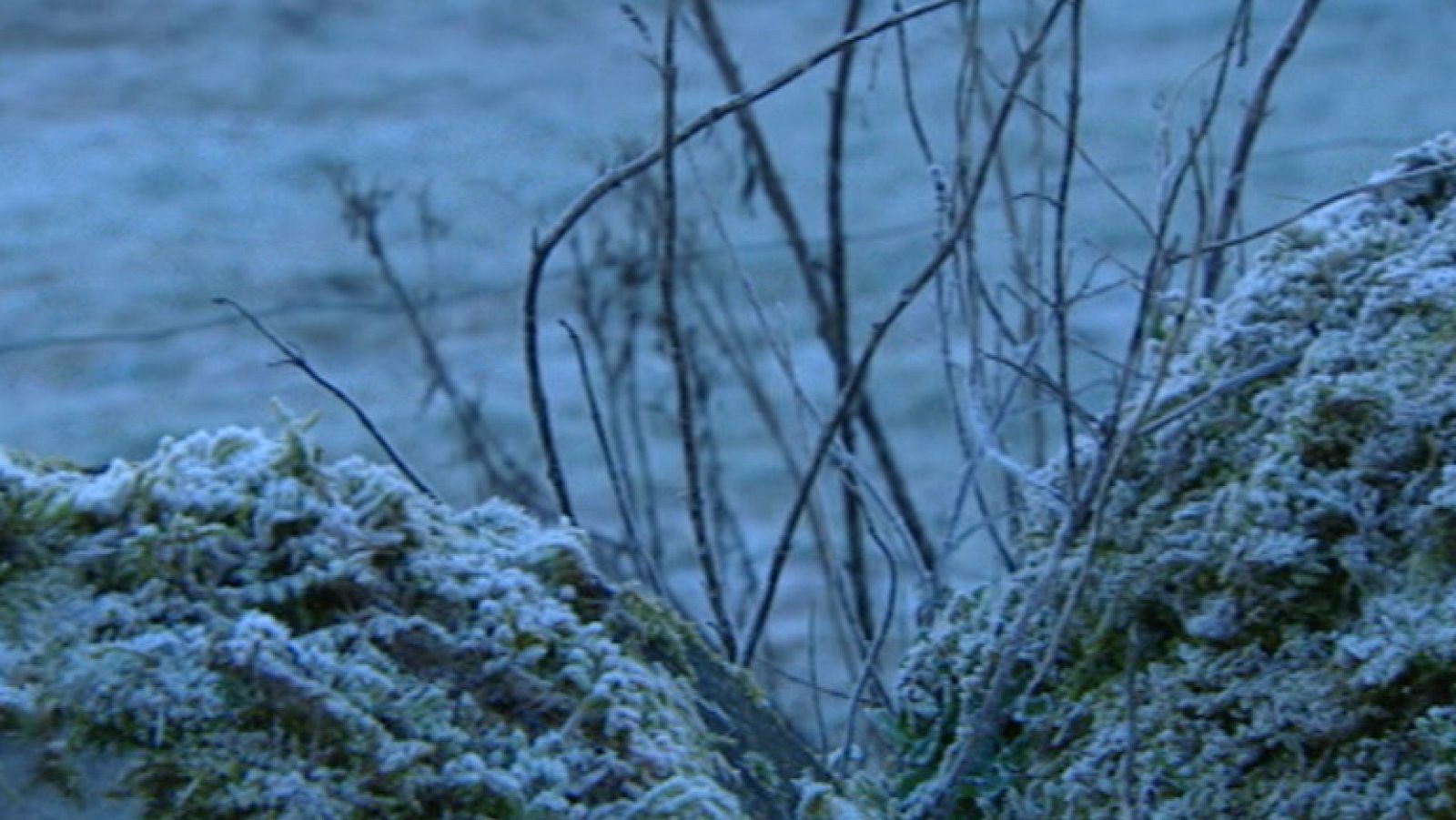 El campo se resiente de las heladas y la sequía de febrero