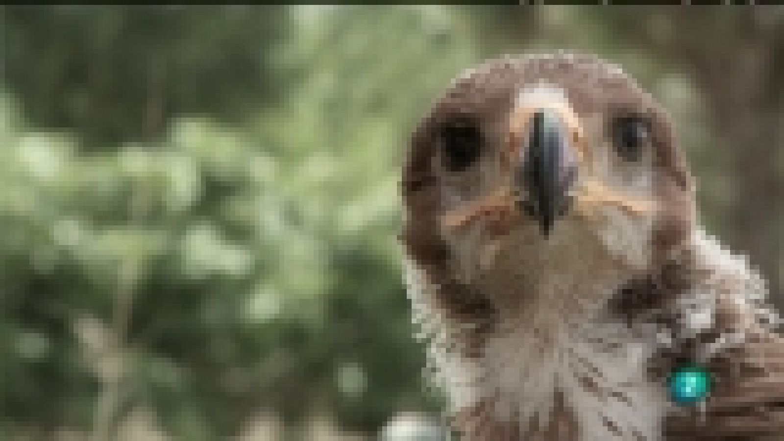 Biodiario - 22/02/12 - Ver ahora