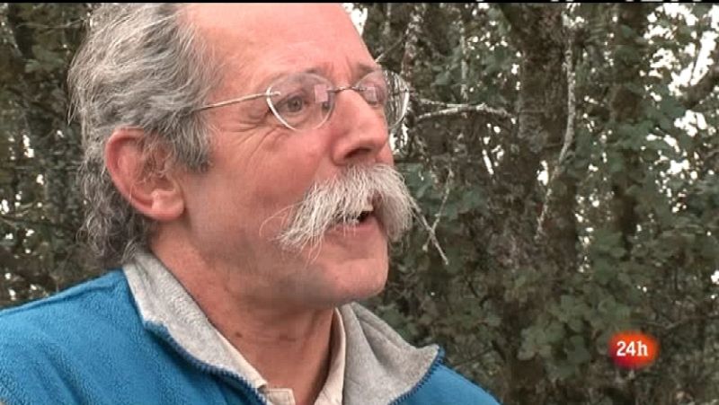 El ojo en la noticia - Paco Custodio - Ver ahora