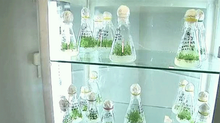 Ciencia y tecnología en Rtve.es - Logro de la ciencia rusa