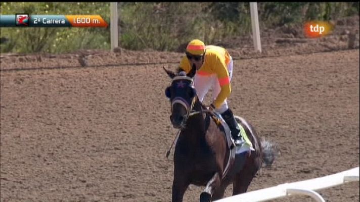 Turf - Carreras de caballos