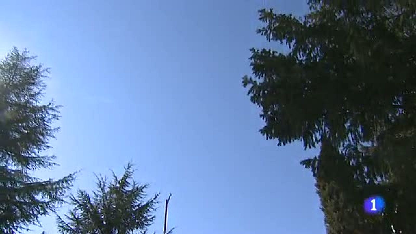 Las altas temperaturas y la falta de lluvia amenazan con un grave periodo de sequía