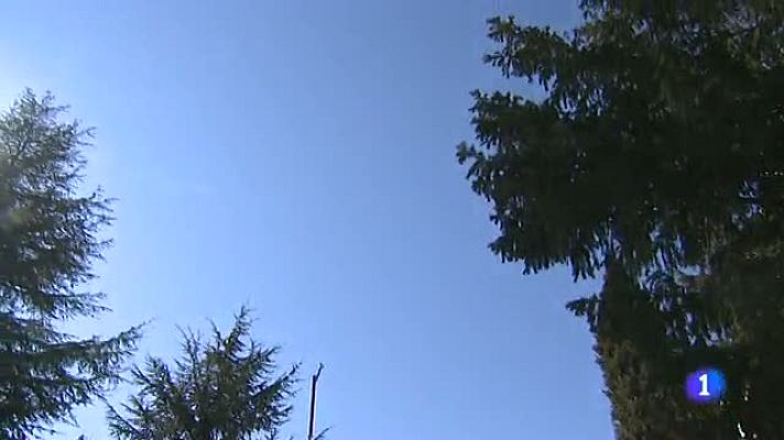 Telediario 1 - Riesgo de sequía