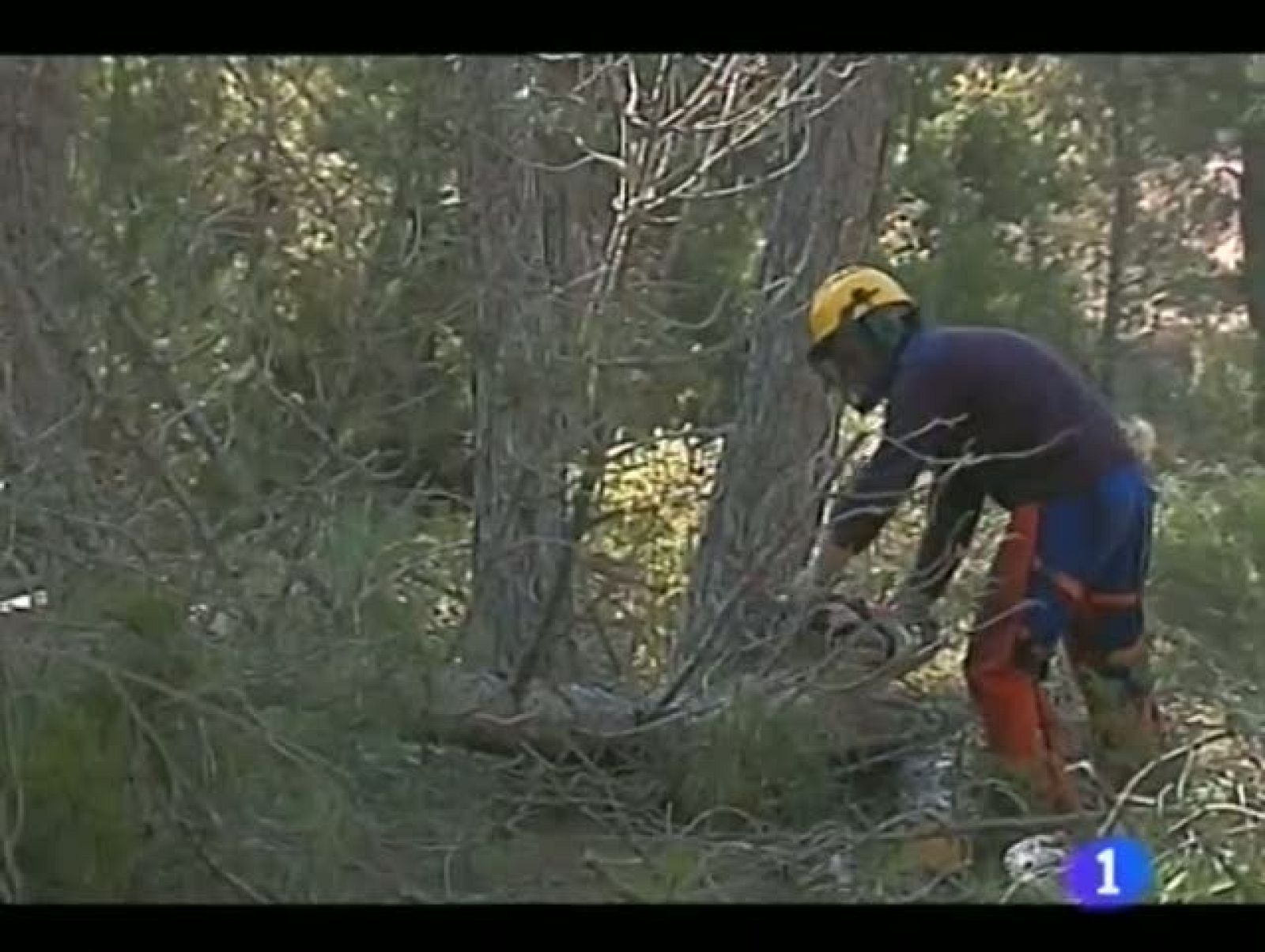 Noticias Aragón - 27/02/12 | Ver