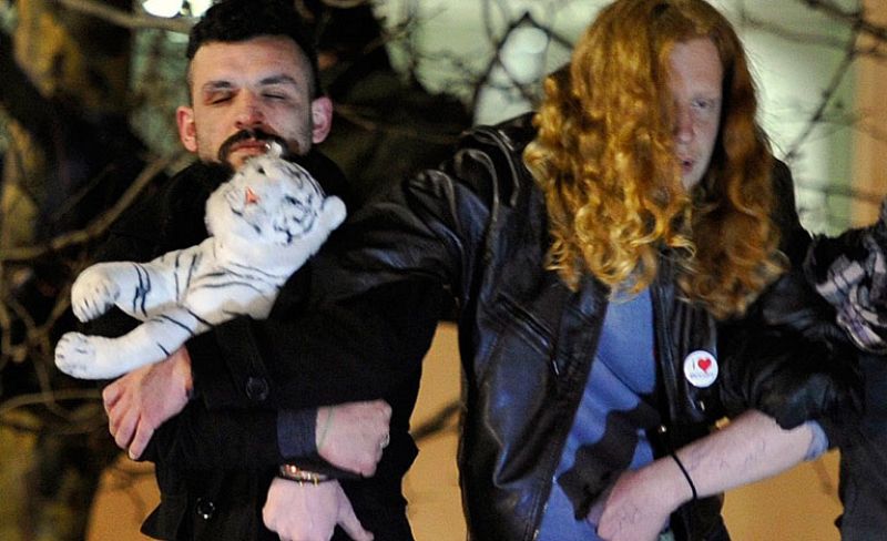 La policía londinense desmantela el campamento de los indignados frente a la catedral de San Pablo el 28 de febrero de 2012