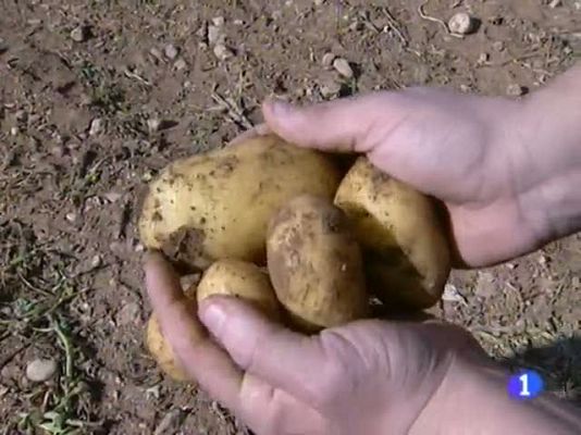 Informatiu Balear - Informatiu Balear - 28/02/12