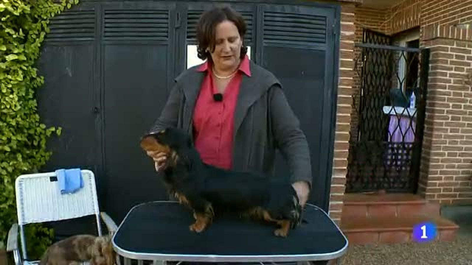 Destino:España - Comunidad Valenciana VII - Lili | Ver