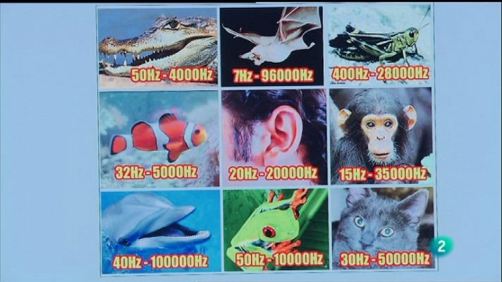 La aventura del Saber - La aventura del saber - 29/02/12