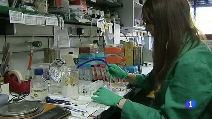 Telediario 1 - Día mundial de enfermedades raras