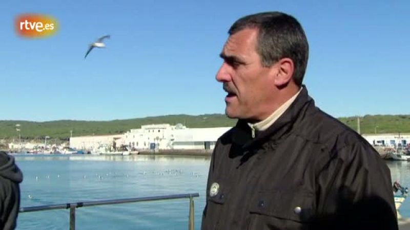 El 80 % de los barbateños tiene que salir fuera para ganarse la vida - Crónicas | Ver