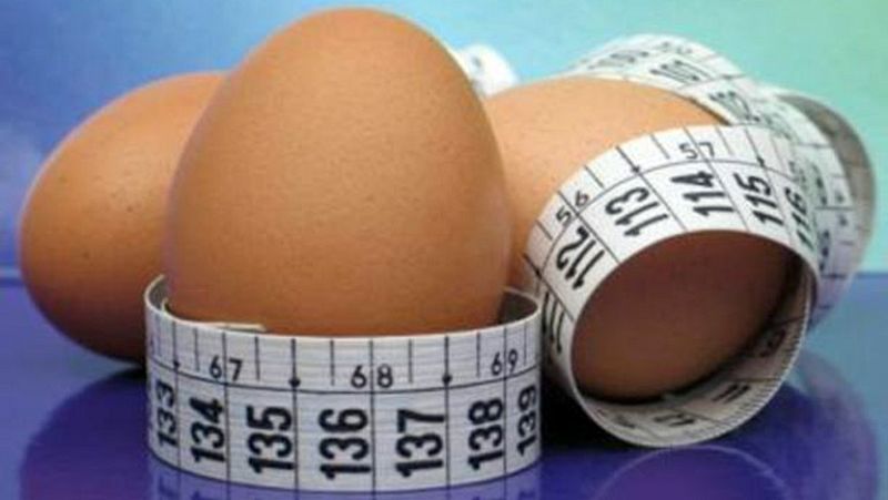 Para todos La 2 - Debate -  Hacer dieta