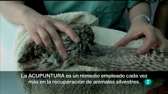 Biodiario - Biodiario - 02/03/12