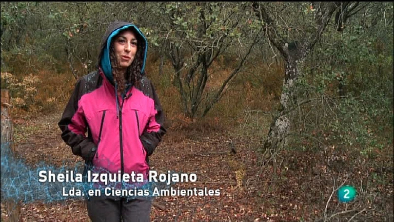 E+I Emprendedores e innovadores - Capítulo 22 - Ver ahora