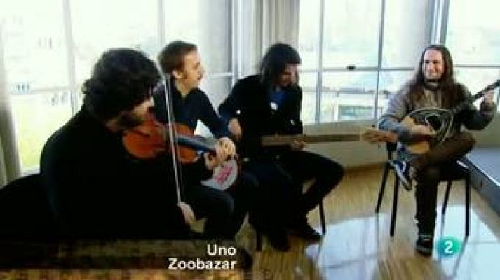 Miradas 2 - Zoobazar