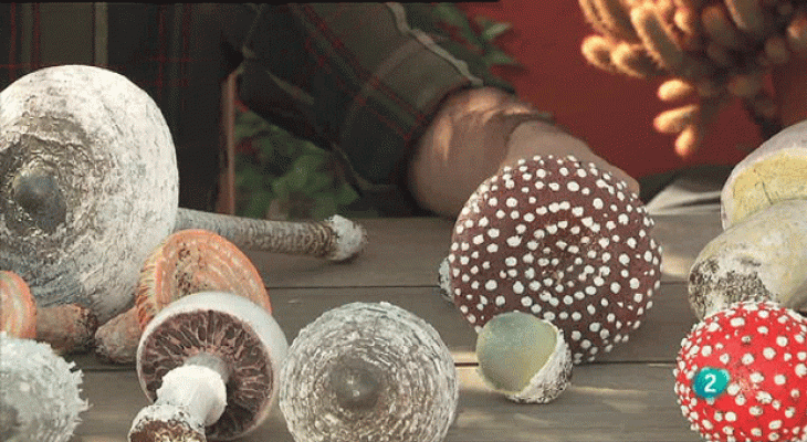 La aventura del Saber - Hongos y setas