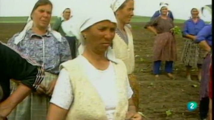 Para todos La 2 - ONG: Mujer y soberanía alimentária