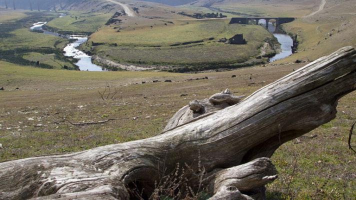Telediario 1 - Prealerta por incendios en Cataluña