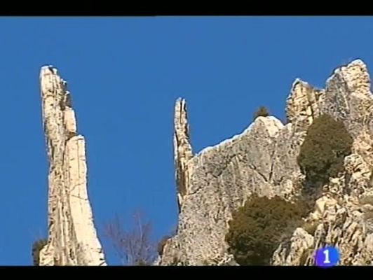 Noticias Aragón - Noticias Aragón - 06/03/12