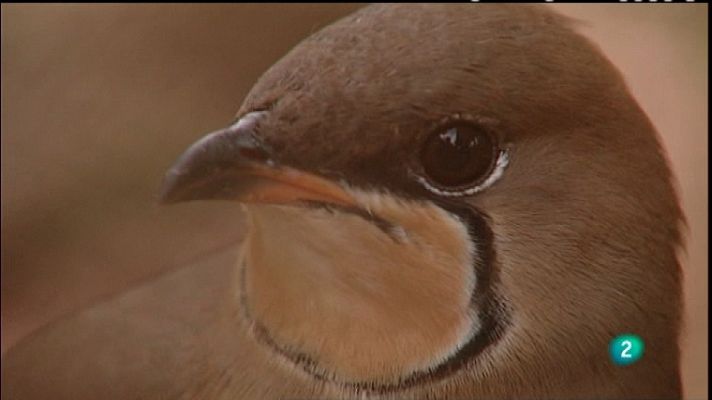 Biodiario - Biodiario - 06/03/12