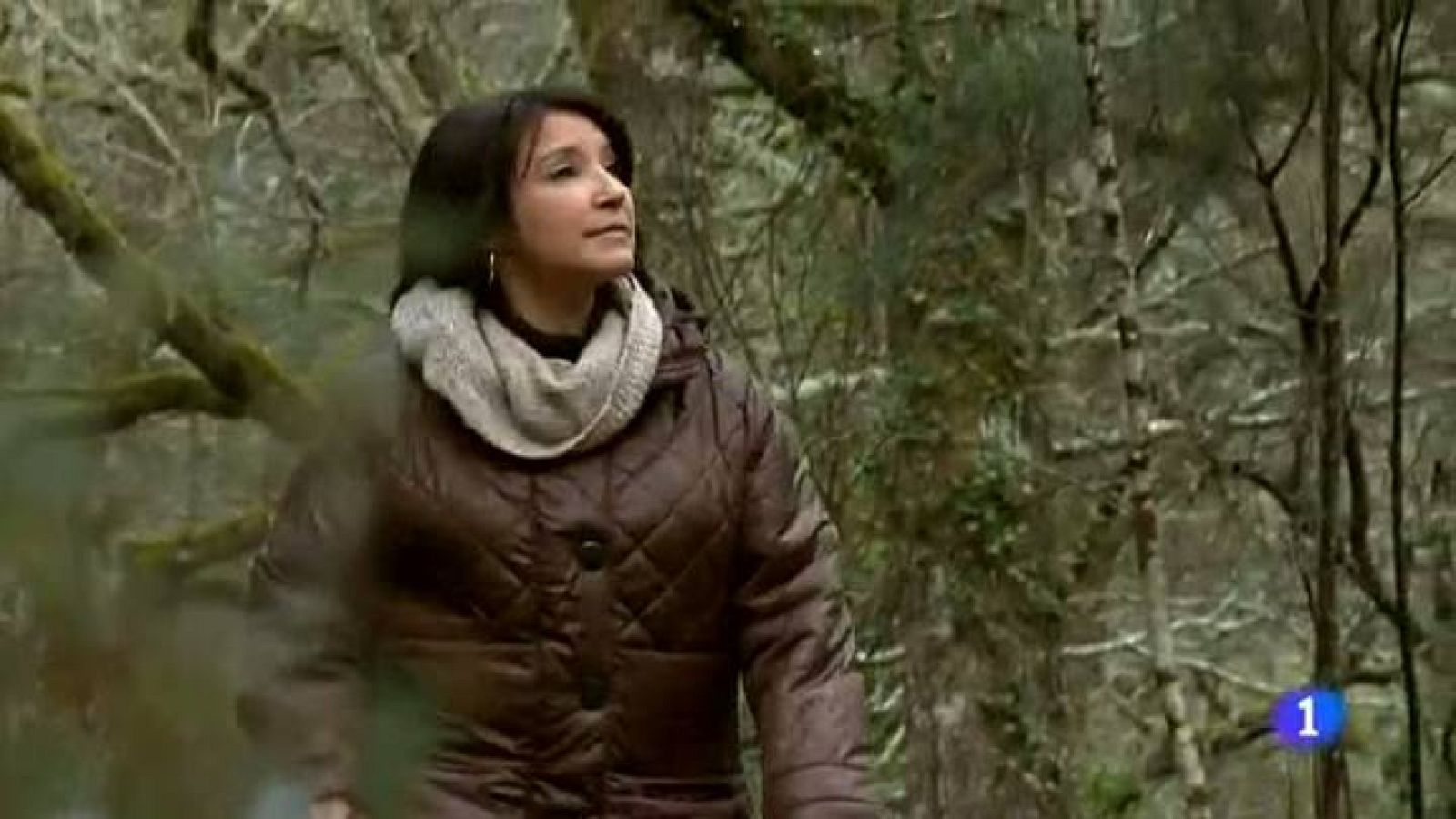 Destino:España - Asturias V - Nieves | Ver