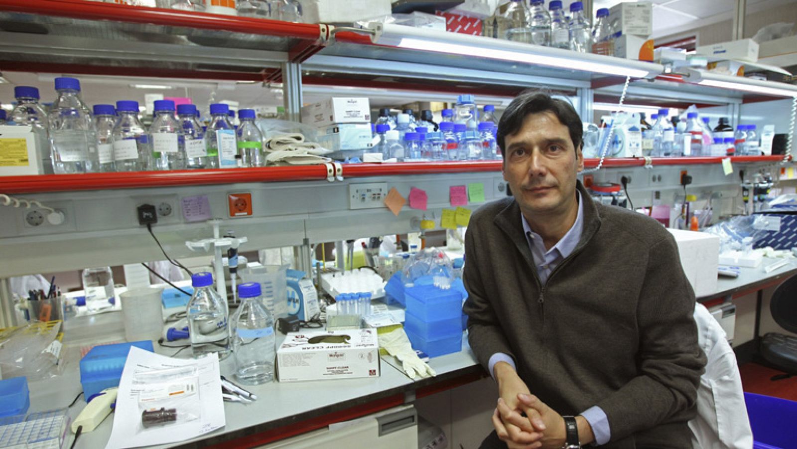 Gen anticáncer que también prolonga la vida y ayuda a acelerar el metabolismo