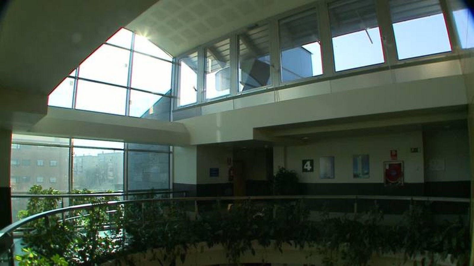 El escarabajo verde - WWF abre una puerta para emplear en verde