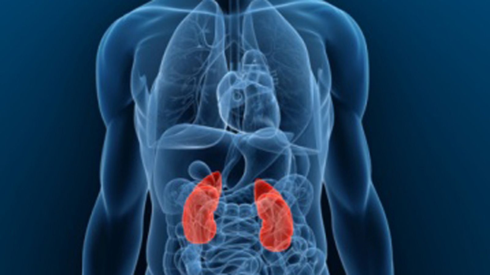 Saber vivir - 09/03/12 - Ver ahora