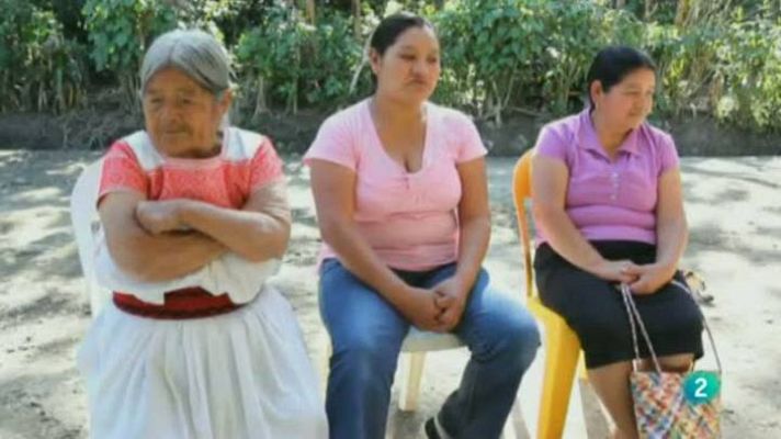 Para todos La 2 - Las penélopes