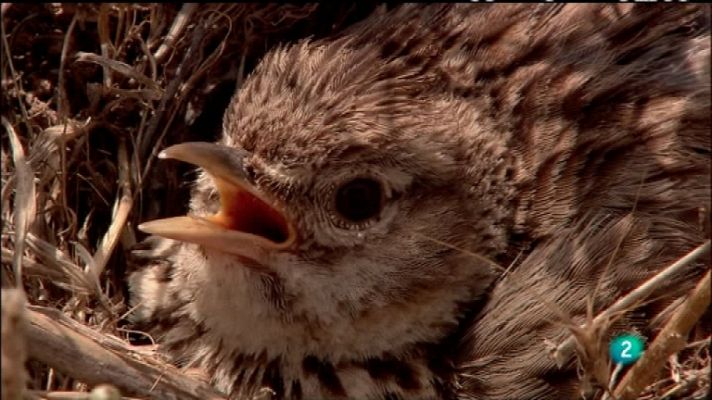 Biodiario - Biodiario - 09/03/12