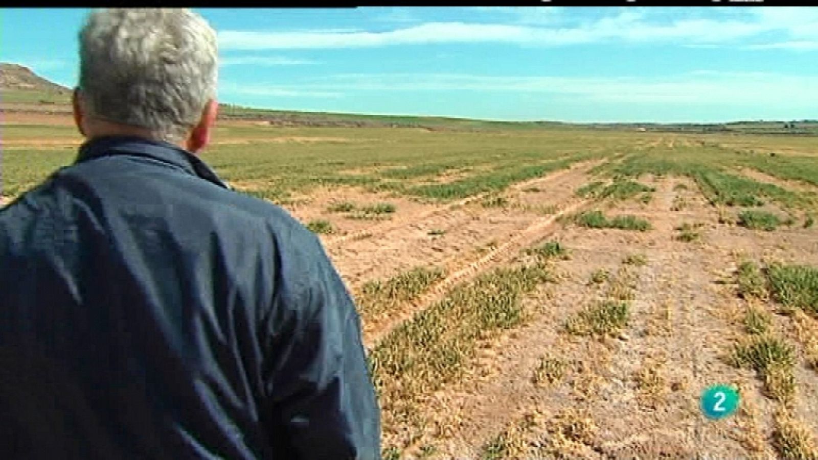 Agrosfera - 10/03/12 - Ver ahora