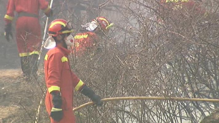 Telediario 1 - Incendios forestales