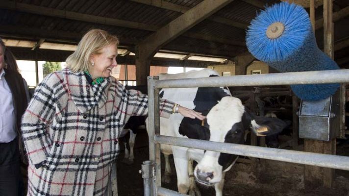 Telediario 1 - Campaña en Asturias