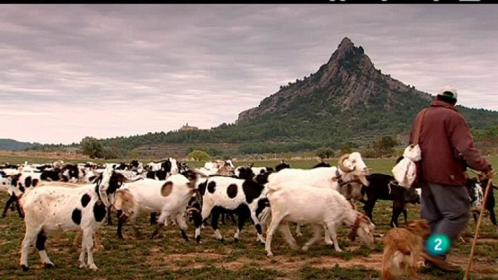 Biodiario - Biodiario - 11/03/12