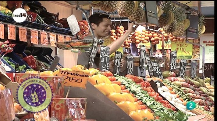 tres14 - Alimentos del futuro