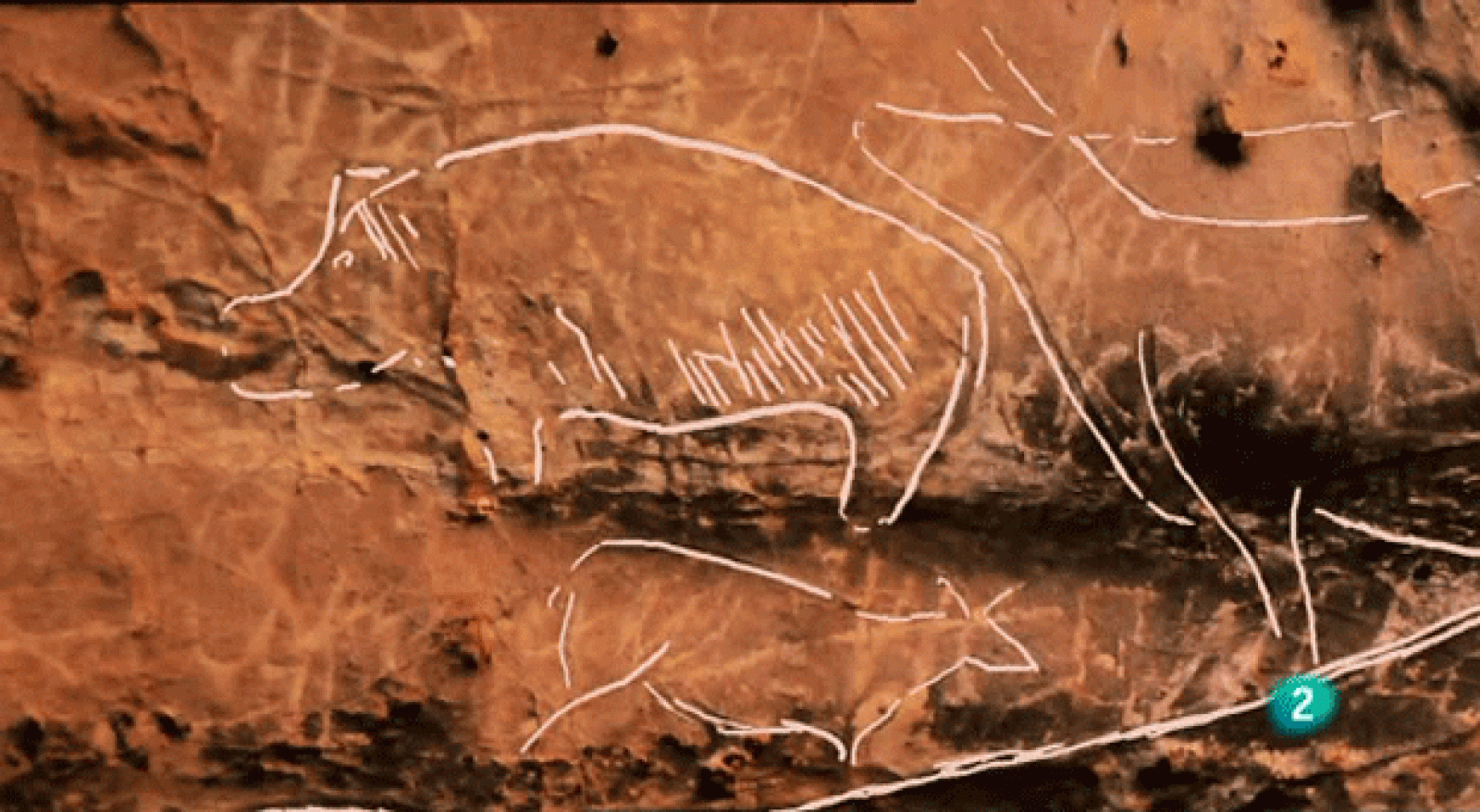 La aventura del saber. Los Casares