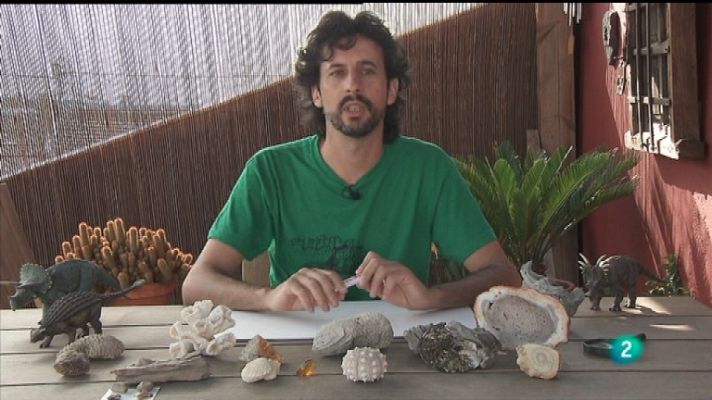 La aventura del Saber - La aventura del saber - 12/03/12