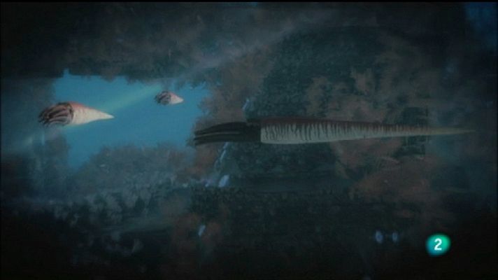 Documenta2 - Rayos letales