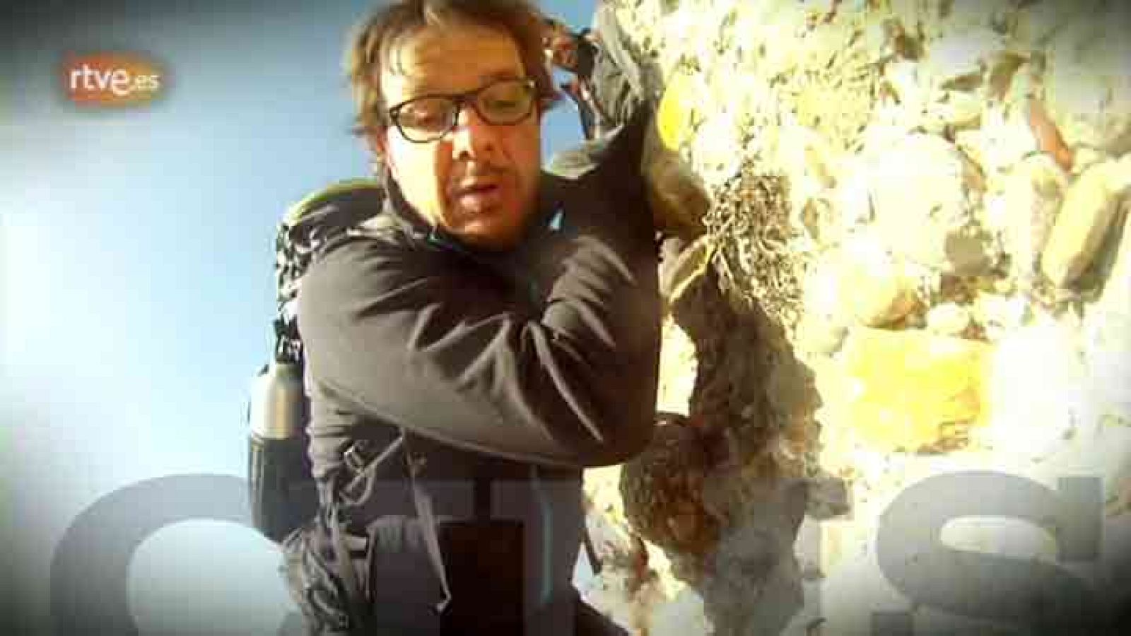 Cims - Àngel Llàcer - avanç