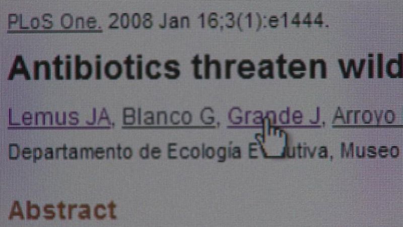 Denunciado científico de la Estación biológica de Doñaana por falsos informes