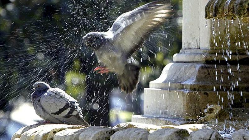 Más Gente - Se mantiene el tiempo primaveral, este año con adelanto