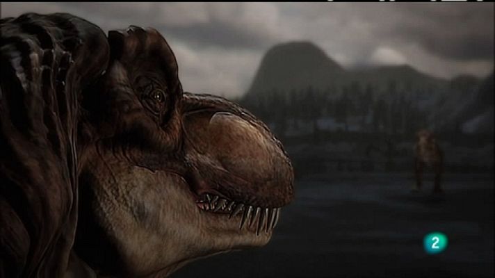 Documenta2 - El día del juicio final