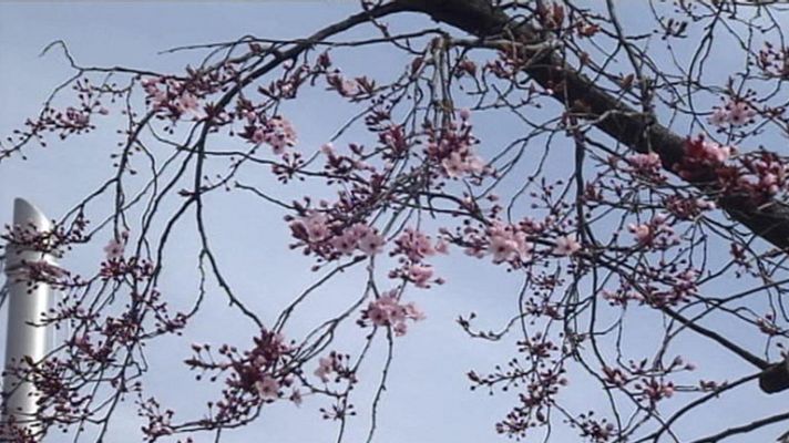 El tiempo - Cielos nubosos