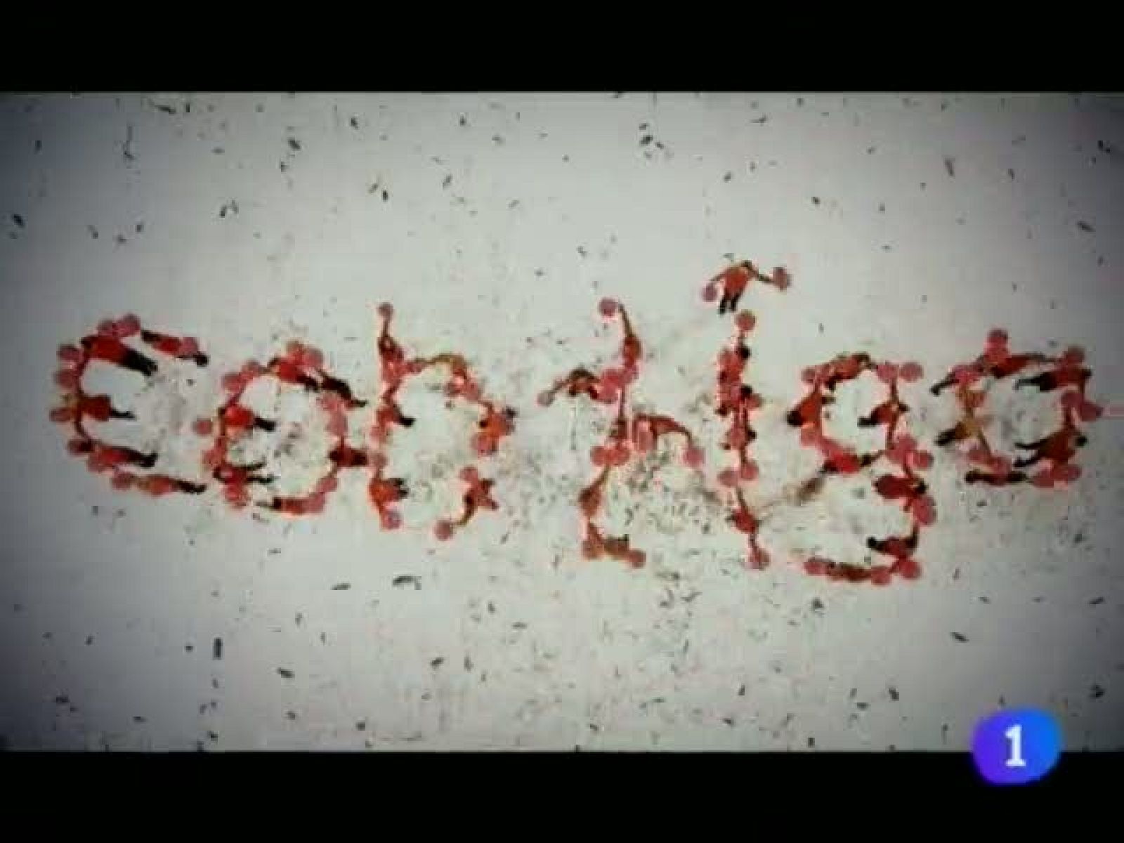 Telenavarra - 16/03/2012 | Ver