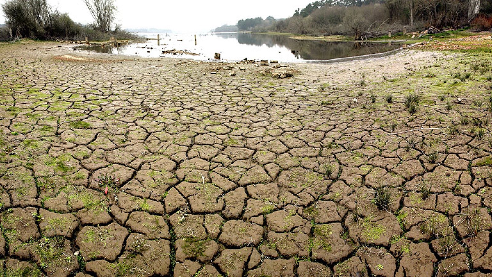 Se anuncia una primavera al parecer con calor y lluvias normales