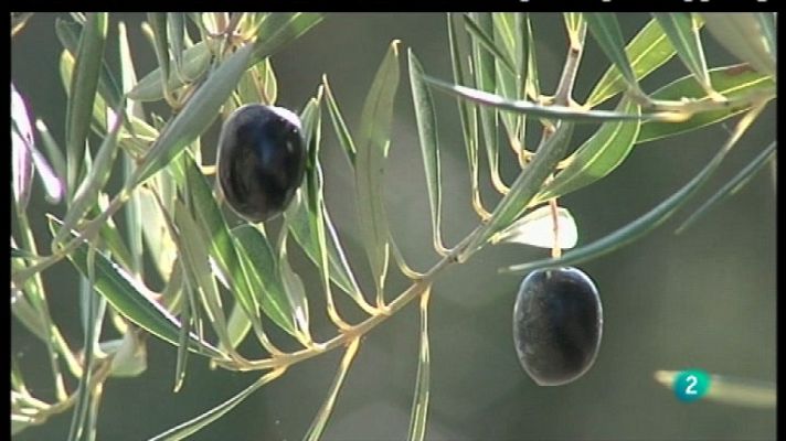 Agrosfera - Agrosfera - 17/03/12