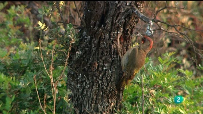 La aventura del Saber - La aventura del saber - 19/03/12