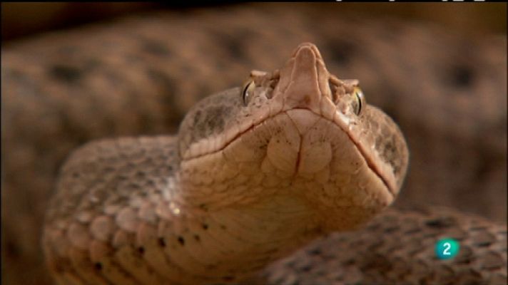 Biodiario - Biodiario - 19/03/12