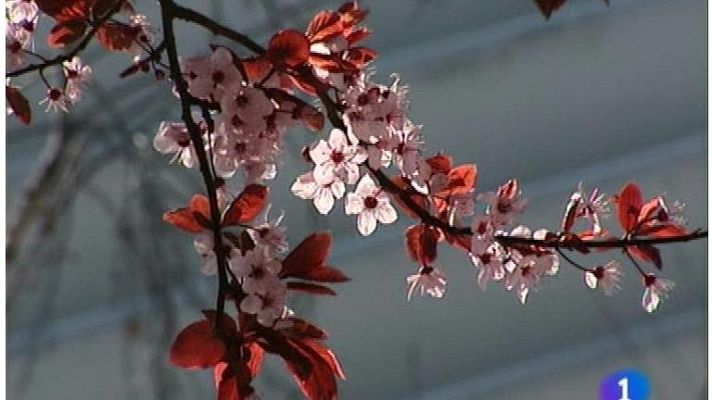 Panorama Regional - Panorama Regional - 20/03/12