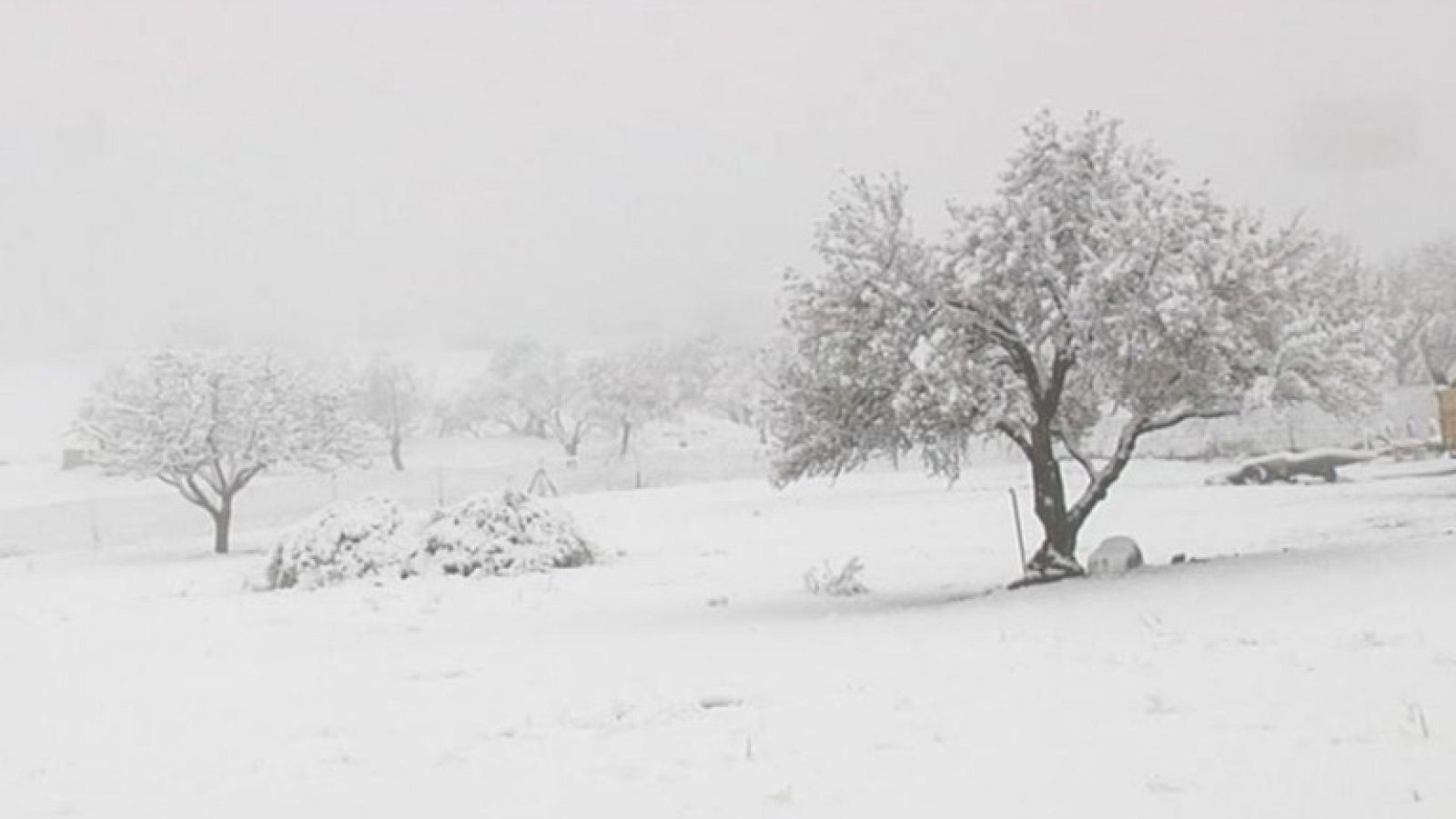 La primavera ha empezado con lluvia y nieve